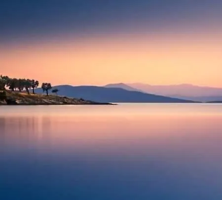 Nectar Сasa de vacaciones *